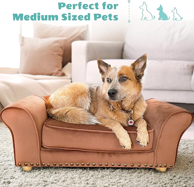 Critter Sitters 34-in. Faux Velvet Sofa in Brown for Medium-Sized Dogs and Cats, Durable and Stylish Dog Bed for Bedroom and Living Room