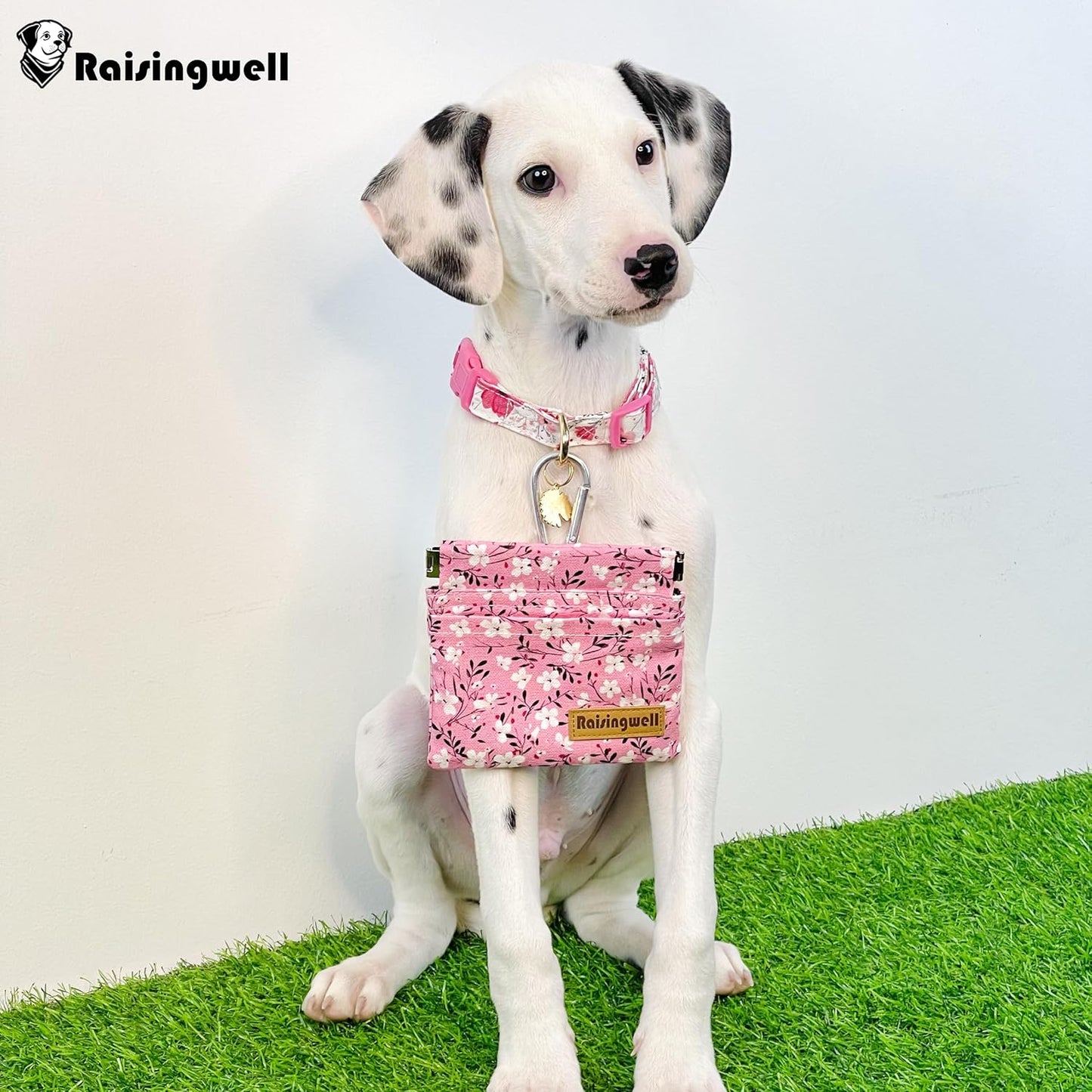 Dog Treat Pouch, Small Cotton Pocket Sized Training Holder, Hand Free Walking Fanny Bag with Carabiner, Self-Closing Pet Feed Snack Reward, Behavior Aids for Puppy Travel or Outdoor Use