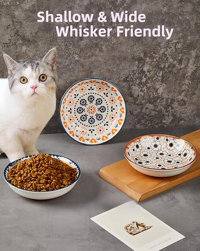 3-Pack Ceramic Cat Food Bowl, Non-Slip Whisker Fatigue Cats Bowl, 5.5” Shallow Dish for Food, Boho Flat Kitten Bowls, Small Kitten Plates for Indoor Cats with Silicone Bottom