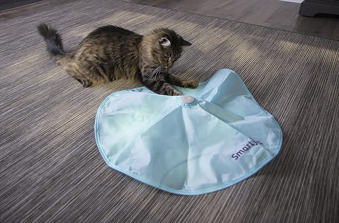 SmartyKat Electronic Motion/Moving Toys for Cats & Kittens, Battery Powered, Mimics Motion of Real Prey, Fun & Interactive Play - Multiple Styles