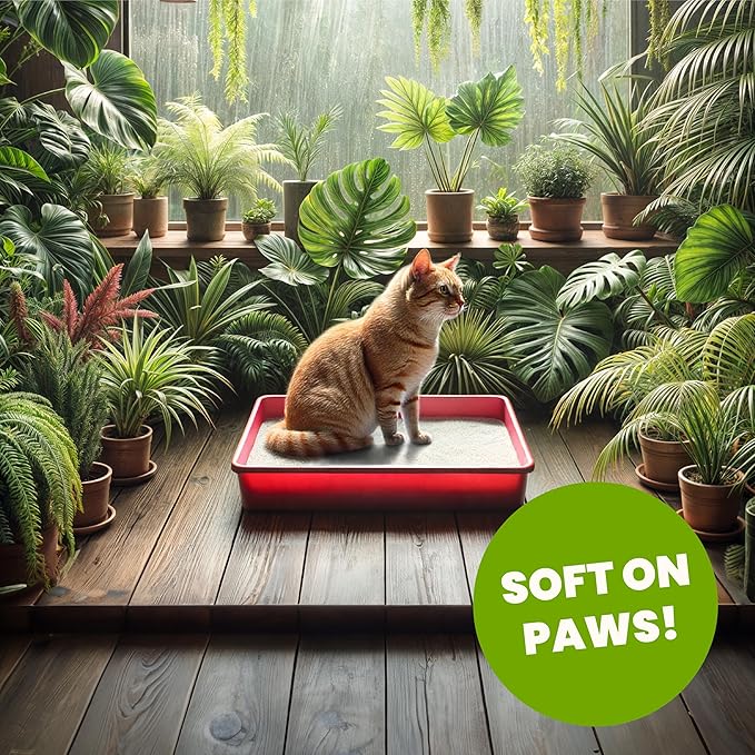 Natural Unscented Cat Litter - 10 lbs - Plant-Based, Clumping, Biodegradable, Non-Toxic, Compostable, Eco-Friendly, Odor Control, Low Dust, Safe for Cats & Kittens. (Pack of 2)