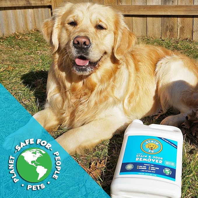 Pro Strength Carpet Odor & Stain Remover Works Like Magic in a Bottle on Tough Urine Feces Vomit and Even red Wine Too! 24 fl.oz