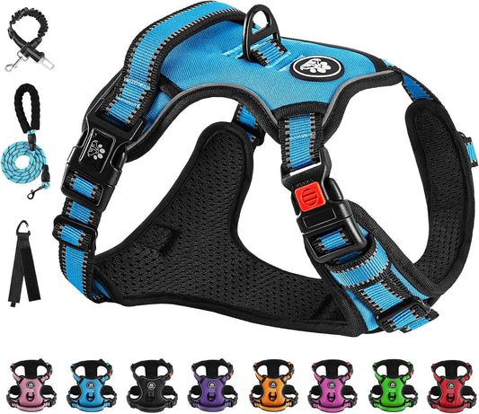 NESTROAD No Pull Dog Vest Harness with Leash, Adjustable Reflective Oxford Pet Harness with Easy Control Handle for Small Dogs, Blue