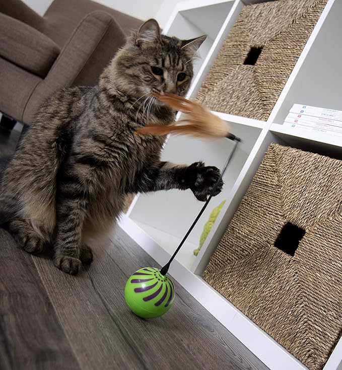 SmartyKat Electronic Motion/Moving Toys for Cats & Kittens, Battery Powered, Mimics Motion of Real Prey, Fun & Interactive Play - Multiple Styles