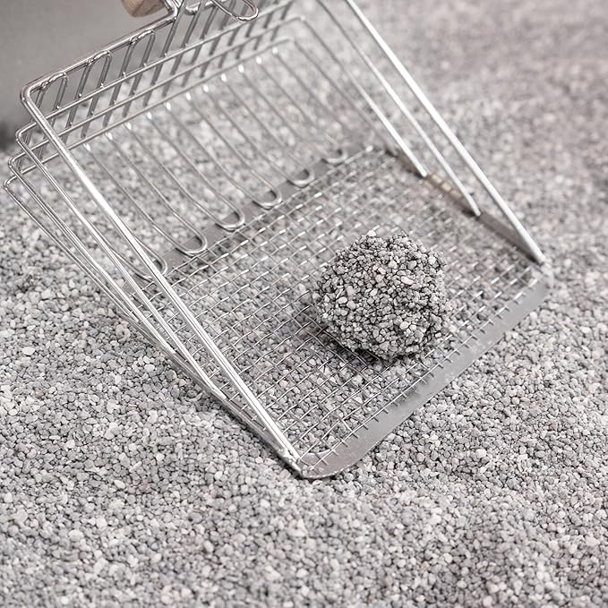 CLR2000B-SET3 Unscented Premium Clumping Bentonite Clay Cat Litter w/Activated Charcoal, Natural Odor Control, 99% Dust-Free, 9.37 LBS (Set of 3)