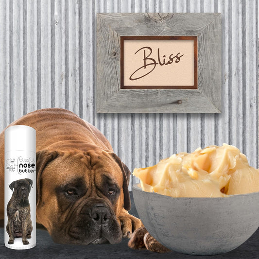 The Blissful Dog Bullmastiff Nose Butter for Dry, Cracked Skin, Lick-Safe Dog Nose Balm with Moisturizing Shea Butter, Almond, Olive, and Essential Oils, Pet Supplies, Uncented, 0.50 oz.