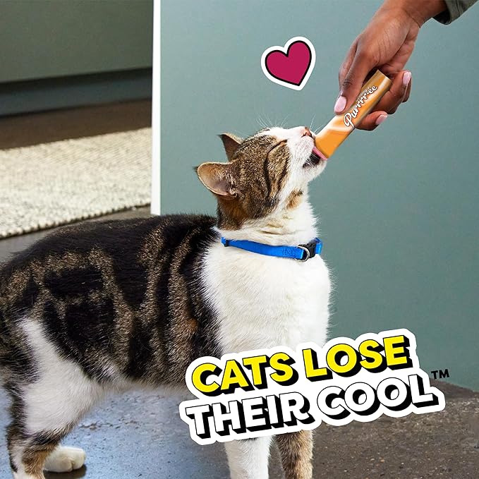 Temptations Creamy Puree Squeezable Lickable Wet Cat Treats with Cheese, 0.42 oz. Tubes, 4 Count, Pack of 11 (44 Total)