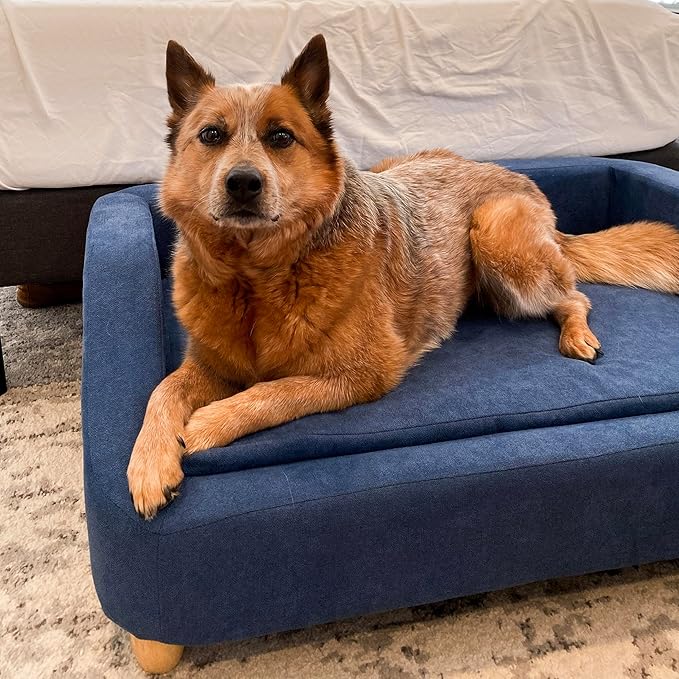 CRITTER SITTERS 36-in. Microfiber Blue Rectangular Dog Couch for Medium-Sized Dogs, Modern and Stylish Elevated Dog Bed for Home or Apartment, Blue