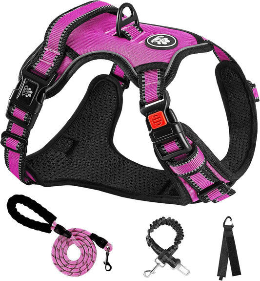 NESTROAD No Pull Dog Harness,Adjustable Oxford Dog Vest Harness with Leash,Reflective No-Choke Pet Harness with Easy Control Soft Handle for Small Dogs(Small,Fuchsia Pink)