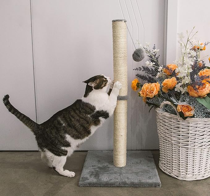 32 Inches Tall Cat Scratching Post, Cat Scratch Post Tree Kitten Scratcher with Sisal Rope, Scratching Post for Indoor Cats with Hanging Ball