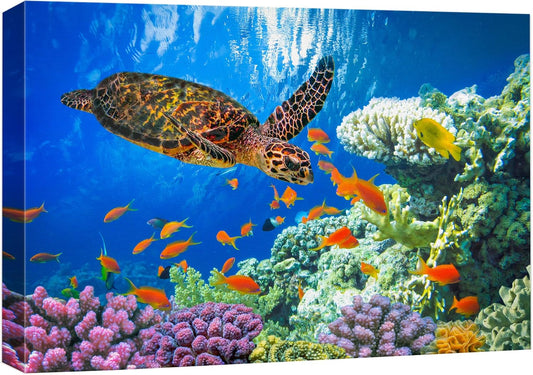wall26 Canvas Print Wall Art Vibrant Neon Underwater Turtle, Reef & Fish Nature Animals Photography Realism Rustic Scenic Landscape Wilderness Colorful for Living Room, Bedroom, Office - 24"x36"
