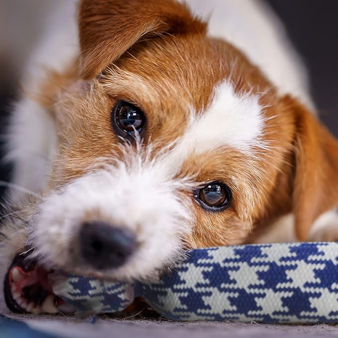 rocket & rex Dog Rope Tug Set for Small Breeds, Includes Ropes with Rubber Interiors, a Squeaker & Crackle Lining, Reduces Destructive Chewing & Anxiety (Pack of 4)