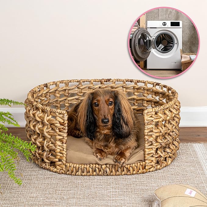 DBD4000A Gigi 24" x 18" Modern Bohemian Handwoven Hyacinth Open-Weave Oval Pet Bed with Machine-Washable Cushion, Natural