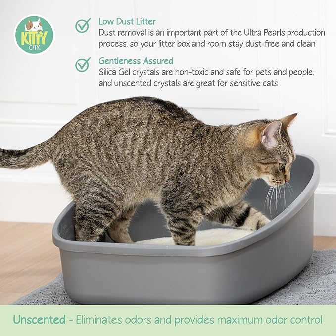 Kitty City PH Crystals Cat Litter 6LB