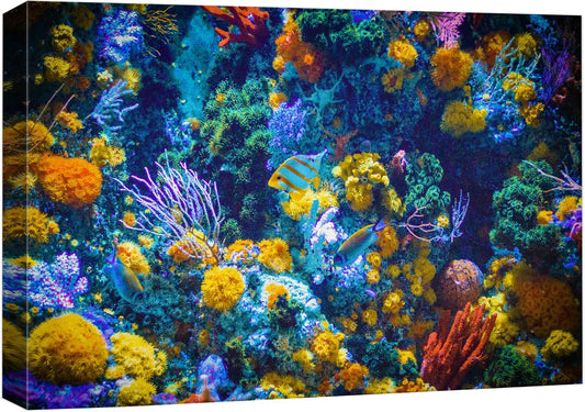 wall26 Canvas Print Wall Art Vibrant Neon Multicolor Anemone Coral Reef Nature Animals Photography Realism Rustic Scenic Landscape Wilderness Earth for Living Room, Bedroom, Office - 12"x18"