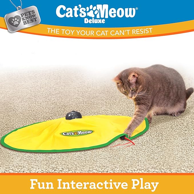 Cat's Meow | Interactive Enrichment Toy for Indoor Cats & Kittens, Automatic Movements That Simulate Mouse Tail & Hunting Prey, Self-Play Battery Powered for Physical & Mental Stimulation, All Breeds
