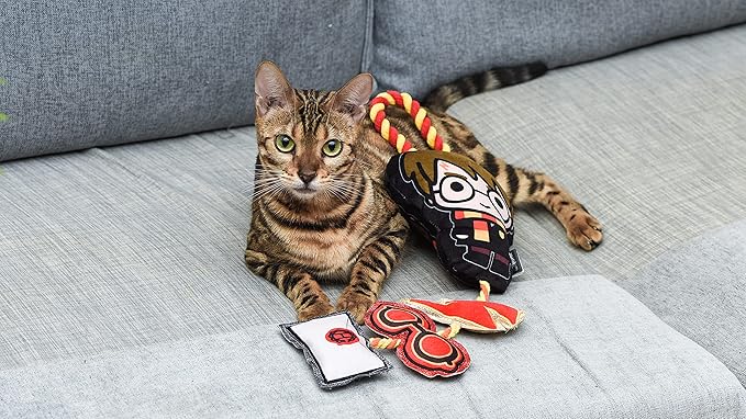 Harry Potter Cat Toy, Door Hanger with Catnip | Door Hanger Cat Toy with Harry Potter, Lightning Bolt, Glasses, and Hogwarts Invitation Plush with Catnip Components on Rope