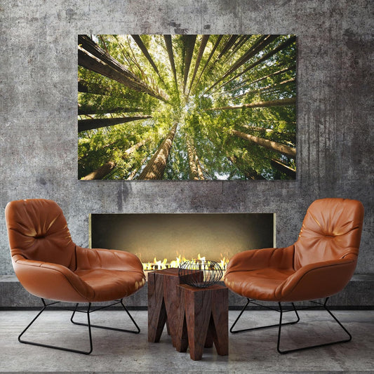 Nature Wall Art Prints - Ocean Forest Mountain Lake Canvas Landscapes - Small to Extra Large Living Room Bedroom Kitchen Bathroom Décor (Serenity in the Forest, 16L" x 24W")