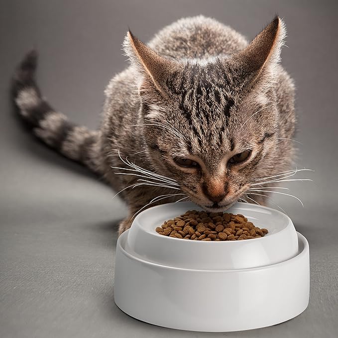 CatGuru Cat Bowls, Whisker Friendly Cat Food Bowl for Indoor Cats, Reliefs Whisker Fatigue, Wide Pet Bowl, Non Slip Pet Feeding Bowls, Shallow Kitten Dish (Set of 2, Marshmallow)