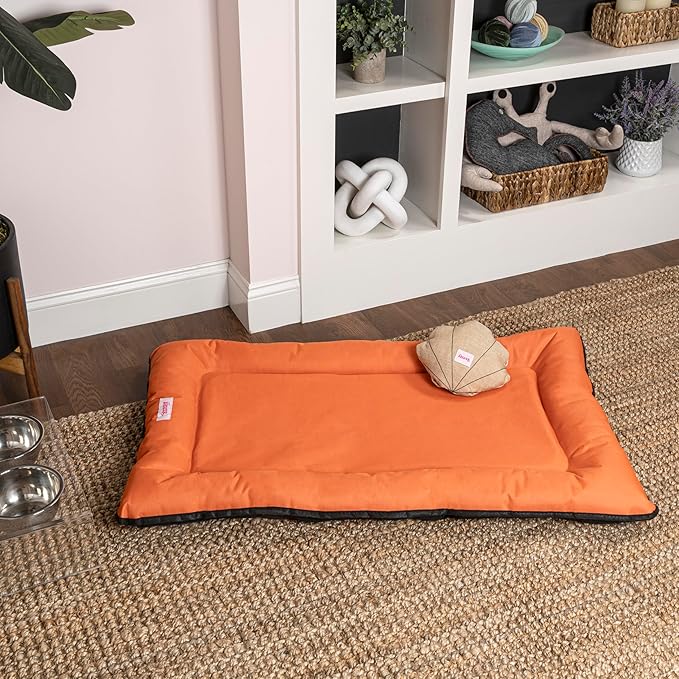 DBD3004B-L Archie 39" x 23" Traditional Oxford Waterproof Indoor/Outdoor Hand-Washable Memory Foam Camping Pet Bed, Tangerine