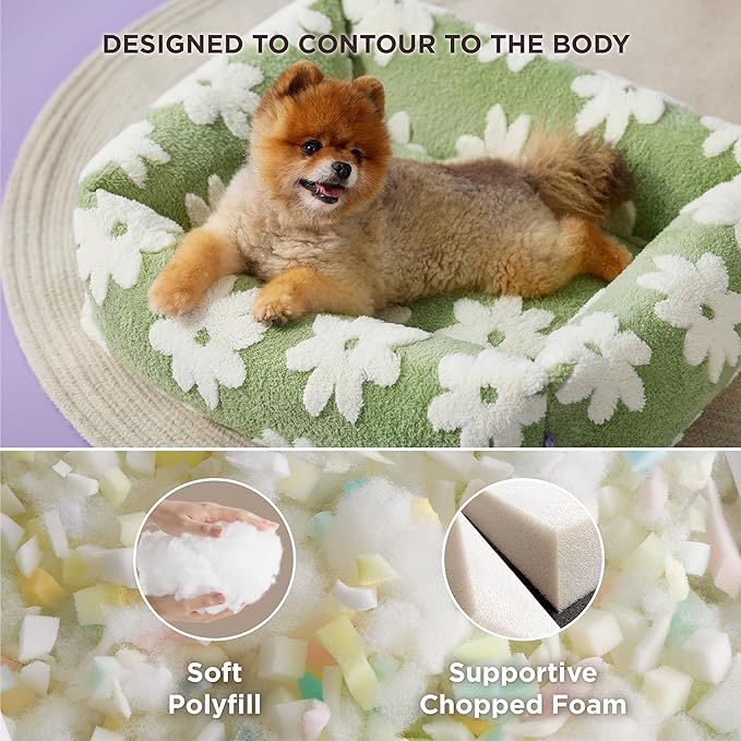 Lesure Cute Dog Bed for Small Dogs - Washable Puppy Beds,Cozy Rectangle Orthopedic Pet Sofa with Jacquard Shaggy Plush & Anti Slip Bottom,25x21x7inches