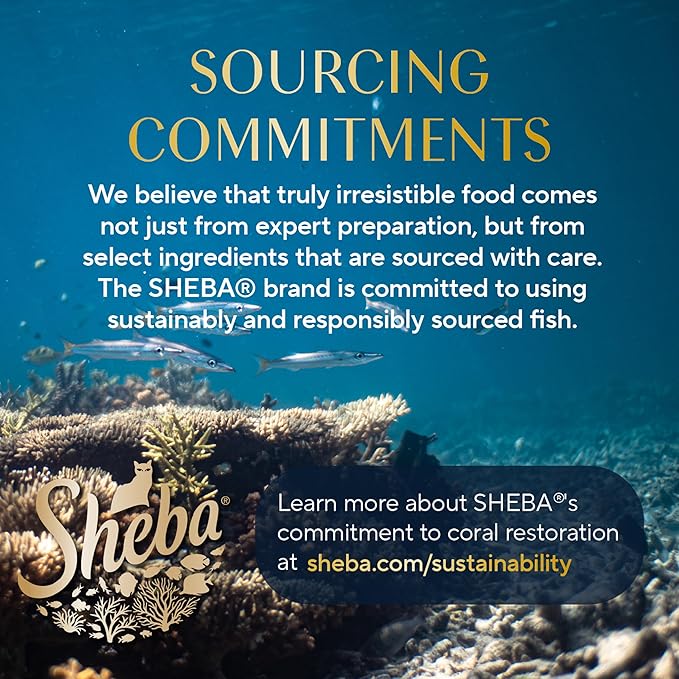 Sheba Perfect Portions Wet Cat Food Cuts in Gravy Variety Pack, Roasted Chicken Entree, with Sustainable Tuna, and Tender Turkey Entree, 2.6 oz. Twin-Pack Trays (36 Count, 72 Servings)