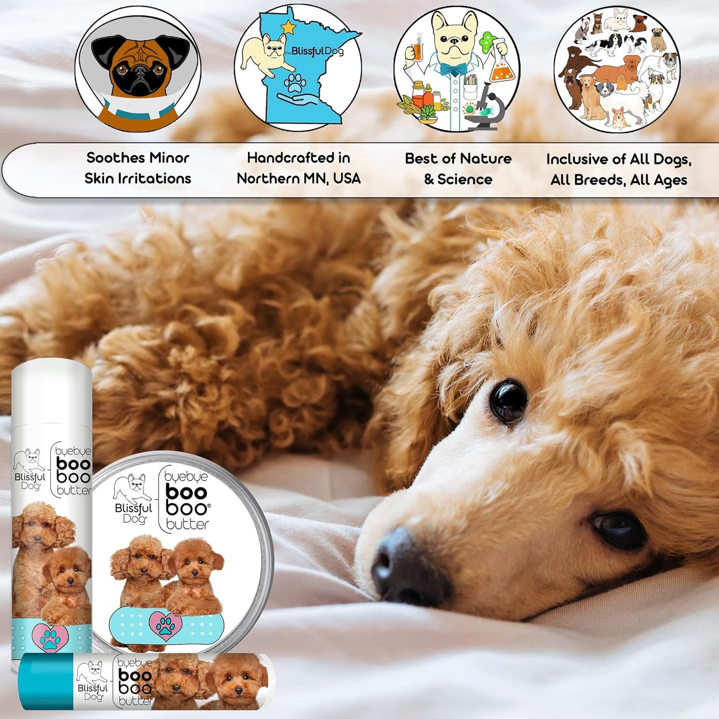 The Blissful Dog Poodle Boo Boo Butter, 16 oz.