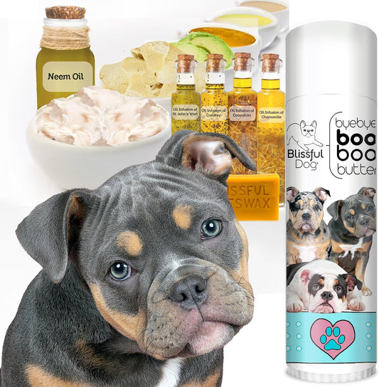 The Blissful Dog .50 oz Tube Olde ENGLISHE Bulldogge Booboo Butter