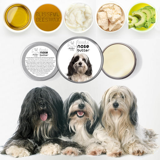 The Blissful Dog Tibetan Terrier Unscented Nose Butter - Dog Nose Butter, 4 Ounce