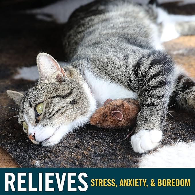 OurPets Play-N-Squeak Mouse Hunter Cat Toys (Interactive Cat Toy & Catnip Toy with Real Mouse Electronic Sound) Perfect Toys for Indoor Cats with Catnip