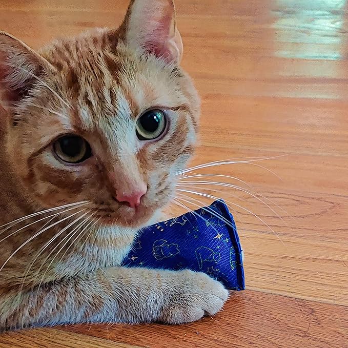 Catnip Pouncer – Cat Nip Toy in Cute, Stylish Designs – Catnip Pouch Gift for Cat Lovers