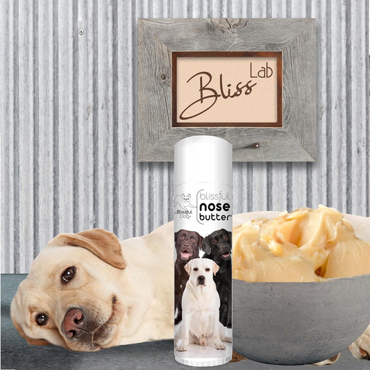 The Blissful Dog Labrador Retriever Nose Butter for Dry, Cracked Skin, Lick-Safe Dog Nose Balm with Moisturizing Shea Butter, Almond, Olive, and Essential Oils, Pet Supplies, Uncented, 0.50 oz.