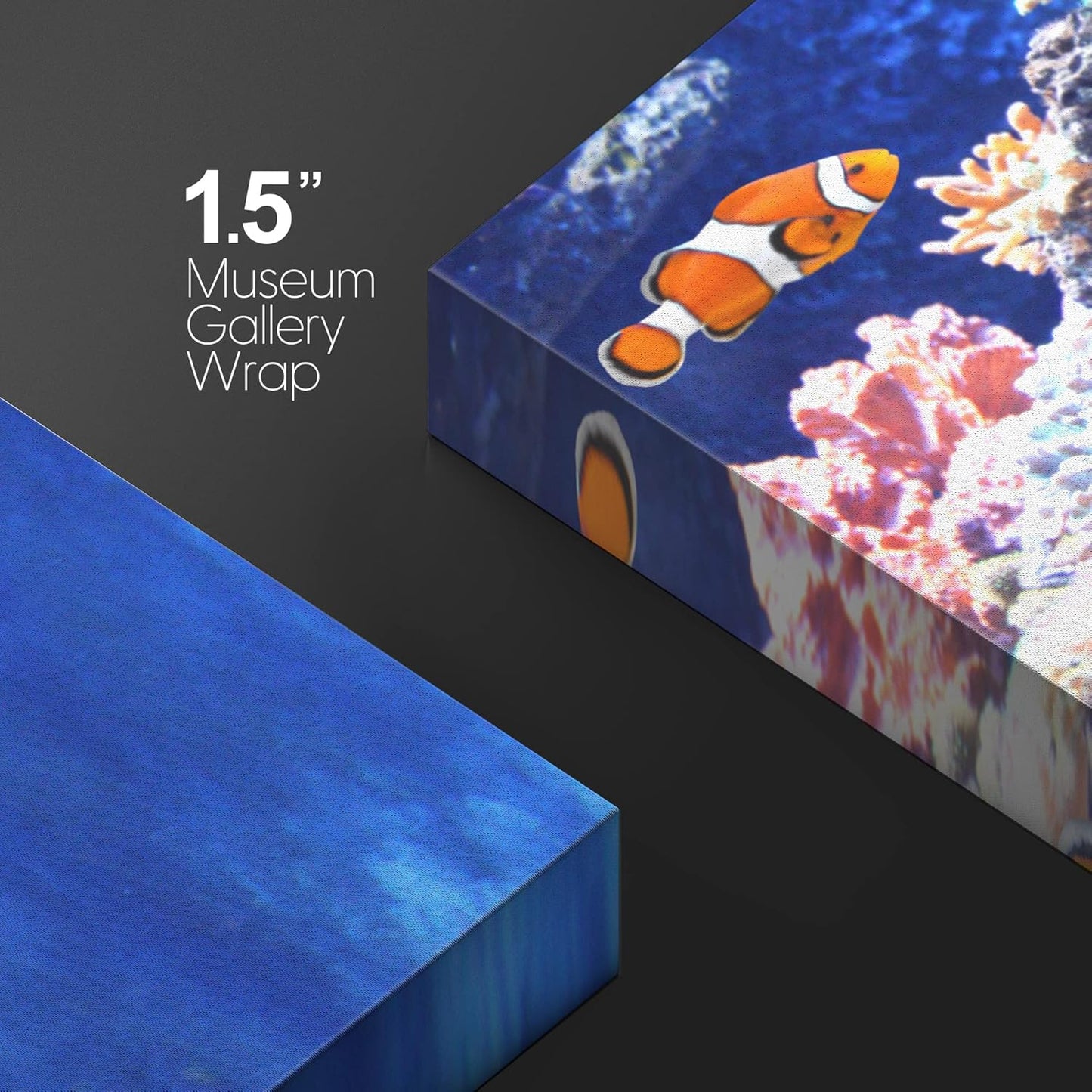 wall26 Canvas Print Wall Art Clownfish Underwater Tropical Coral Reef Nature Animals Photography Realism Rustic Scenic Landscape Wilderness Earth Colorful for Living Room, Bedroom, Office - 24"x36"