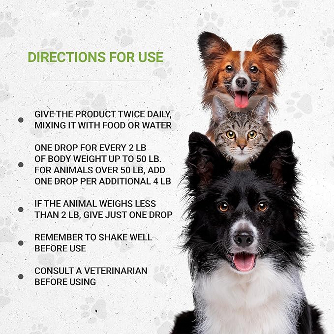 Lion's Anxiety | Natural Herbal Dietary Supplement for Cats | Support Stress Relief in Cats | Alcohol-Free Extract, Chamomile, Lemon Balm, Lavender, Linden, Fennel 2 oz