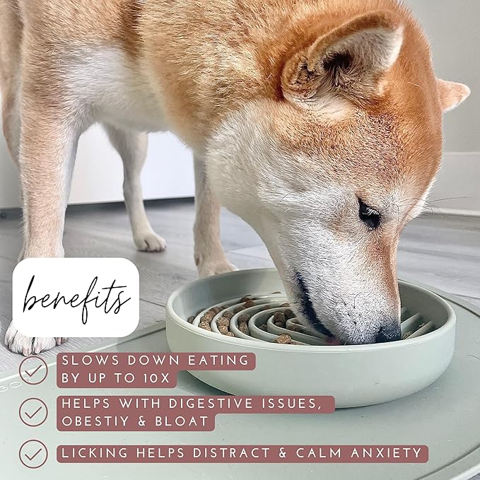 The Slowdown Bowl Silicone Slow Feeder for Dogs & Puppies, Slow Eating, Modern Lick Mat Design, Reduces Gulping, Fits 2 Cups 7.5” Across x 1.5” Tall, Mealtime Challenge, Medium-Sand