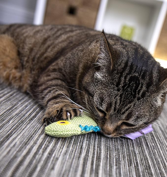 Petlinks HappyNip Crinkle Chameleon Cat Toy, Contains Silvervine & Catnip - Green, One Size