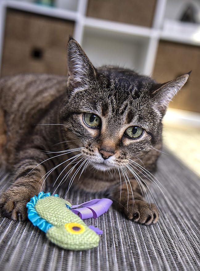Petlinks HappyNip Crinkle Chameleon Cat Toy, Contains Silvervine & Catnip - Green, One Size