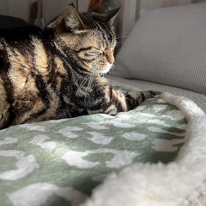 Cat Blanket for Indoor Cats – 29" Soft Sherpa Fleece Pet Throw, Washable Reversible Dog Blanket for Small Dogs, Cats, Kittens, Couch Bed Sofa Car Protector – Sage