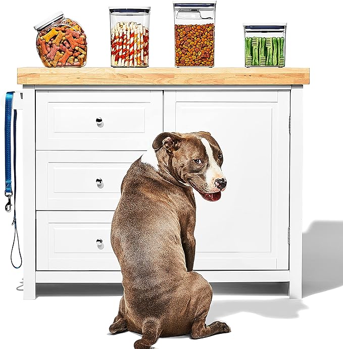 OXO Good Grips Pet POP Container – 2.8 Qt/2.6 L |Ideal for up to 3lbs of Dog Food or 2lbs of Cat Food | Airtight Dog and Cat Food Storage Container | BPA Free