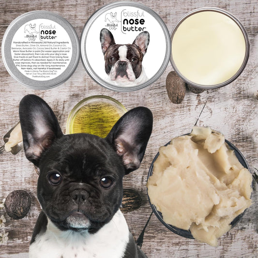 The Blissful Dog Pied French Bulldog Nose Butter, Versatile Dog Nose Balm for Dry Nose, Handcrafted Nose Moisturizer, Easy-to-Apply Dog Essentials, Unscented, 1 oz.