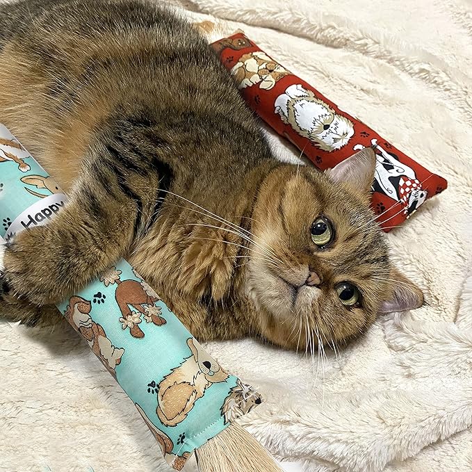 2 Pack Interactive Catnip Cat Kicker with Tassel, Bite Resistant Chew Toy, Crinkle Kicker, Accessories for Indoor Cat