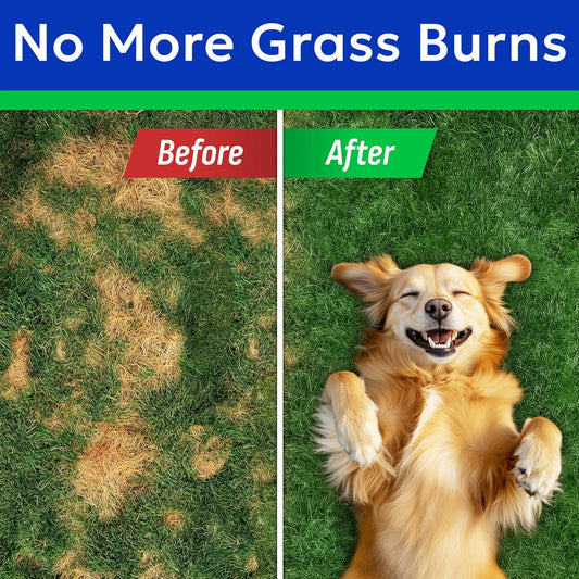 BARK&SPARK Green Grass Chews - Pee Grass Spot Saver Caused by Dog Urine - Urine Neutralizer for Lawn, Gut Health Probiotics & Digestive Enzymes,Lawn Burn from Dog Urine, Grass Burn Spot Chews, Rocks